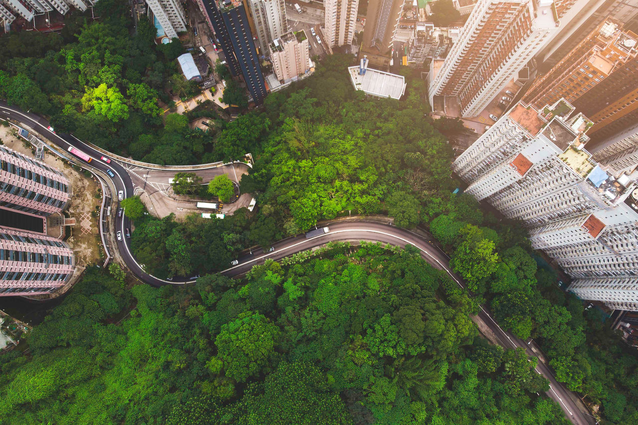 Aerial view of curve road in forest in city